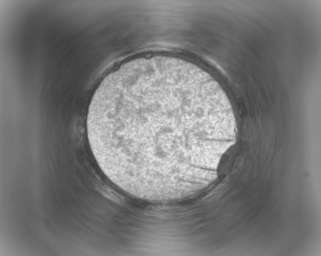 X0000068901355200606021934