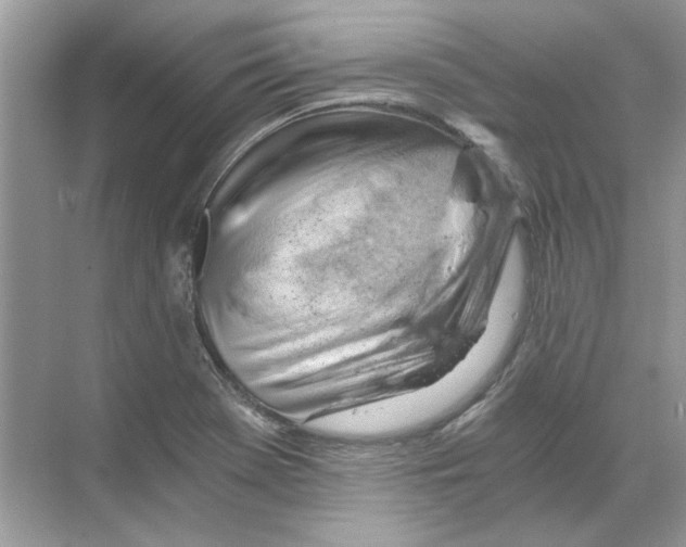 X0000068901369200606021934