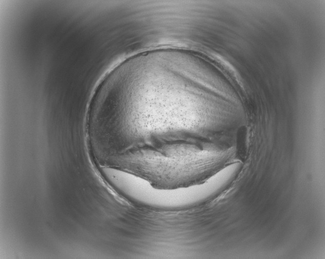 X0000068901373200606021934