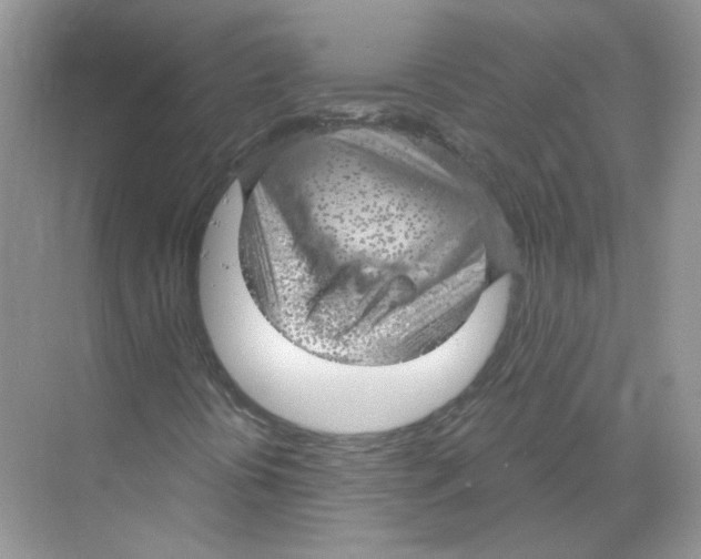 X0000068901394200606021933