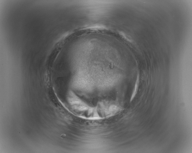 X0000068901398200606021933