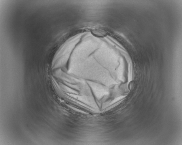 X0000068901399200606021933