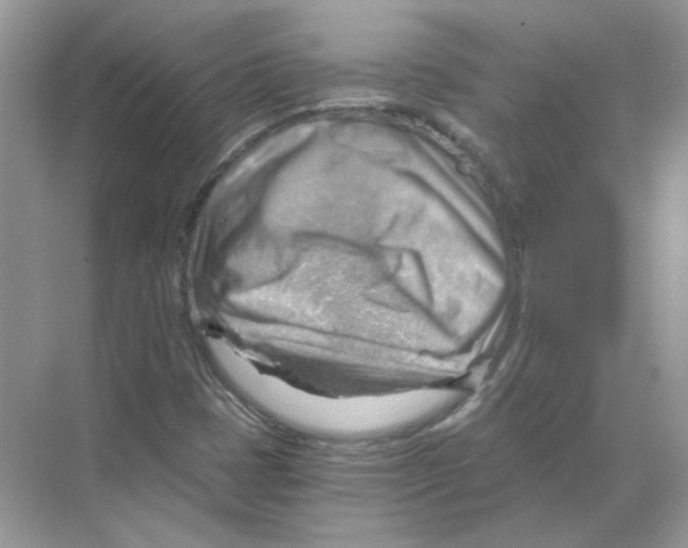 X0000068901401200606021933