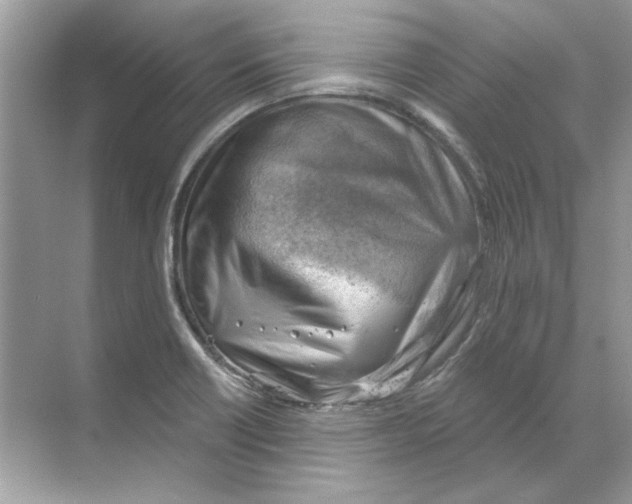 X0000068901418200606021933