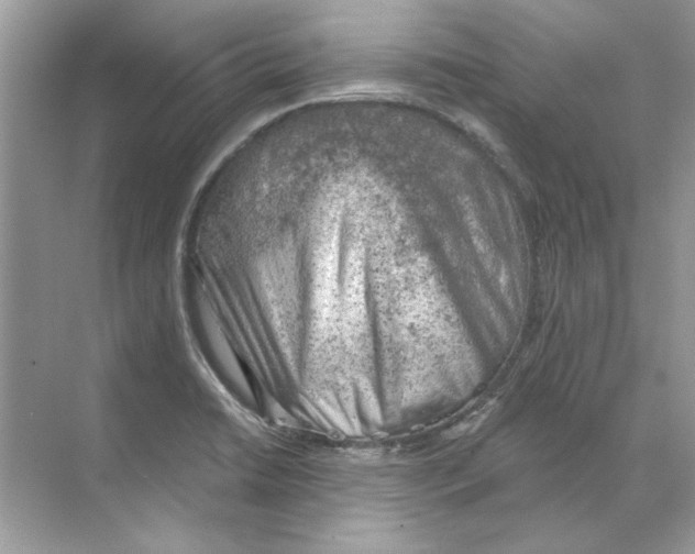 X0000068901422200606021933