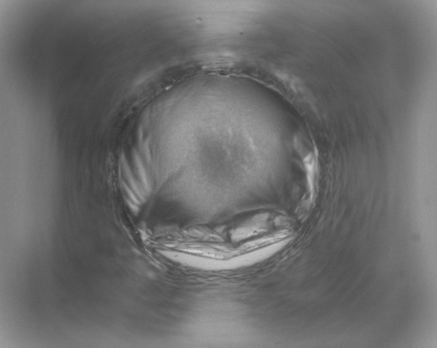 X0000068901445200606021933