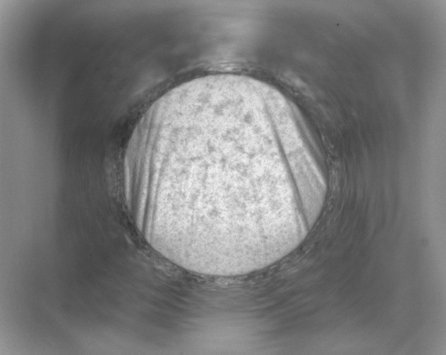 X0000068901446200606021933