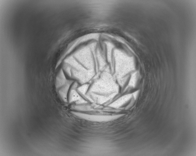 X0000068901447200606021933
