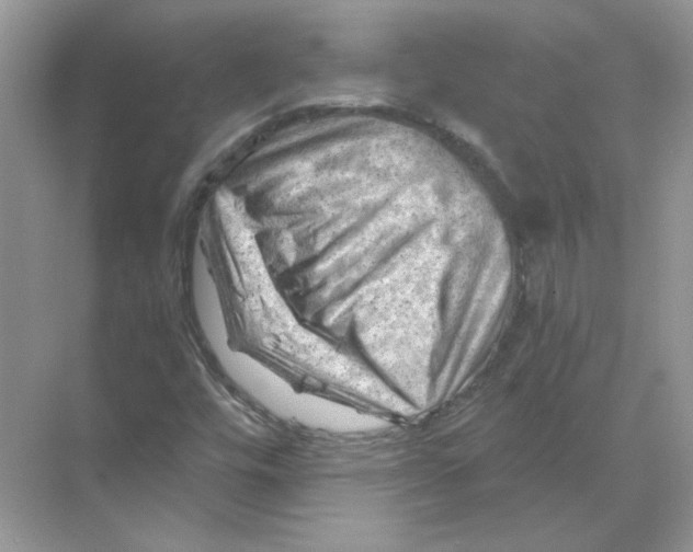 X0000068901448200606021933