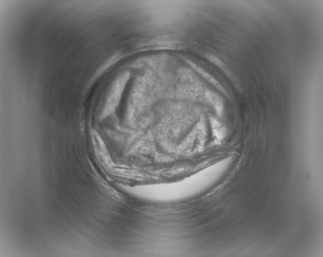X0000068901450200606021933