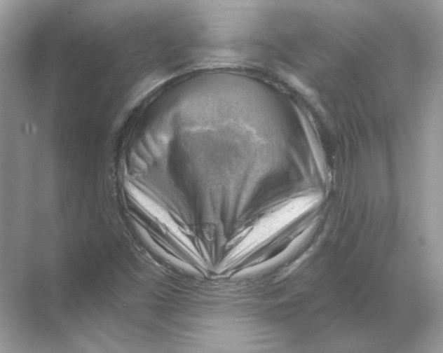X0000068901453200606021933