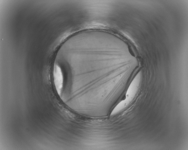 X0000068901455200606021933