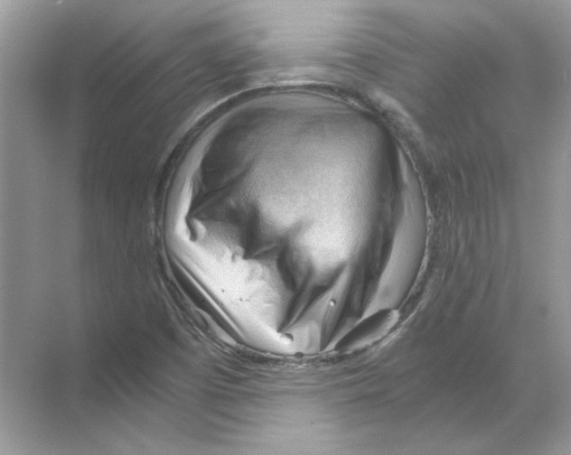 X0000068901457200606021933