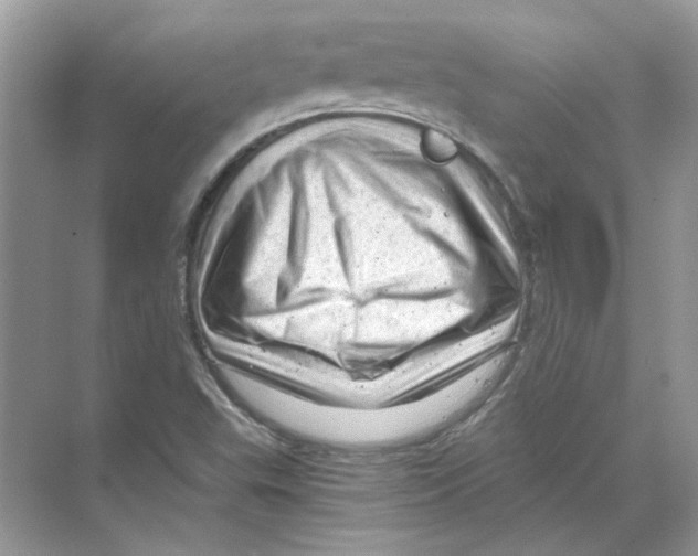 X0000068901503200606021932