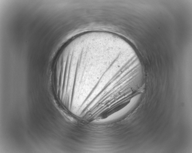 X0000068901507200606021932