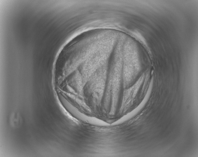 X0000068901528200606021932