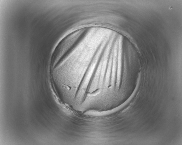 X0000068901530200606021932