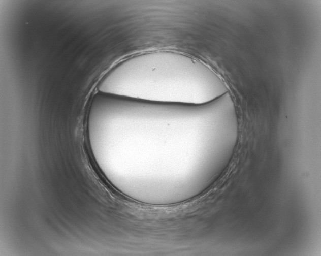 X0000069360002200605120928