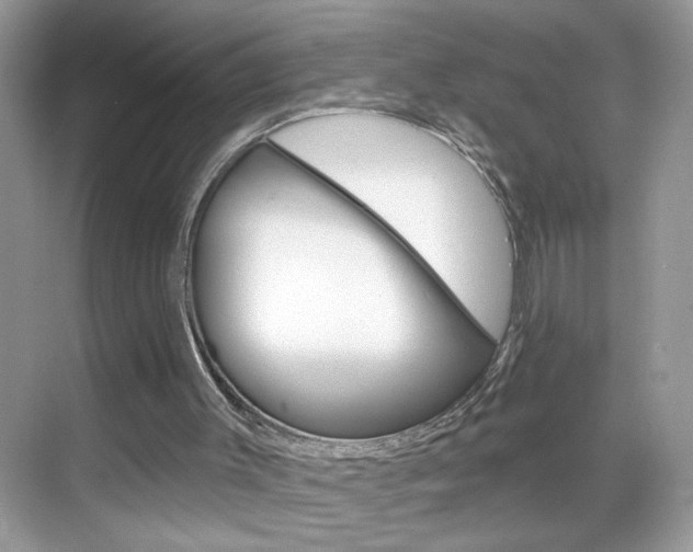X0000069360003200605120928