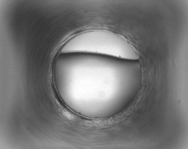 X0000069360005200605120928