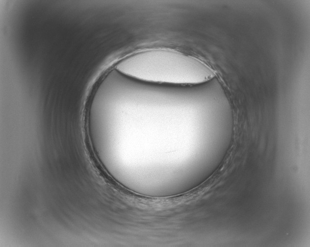 X0000069360006200605120928