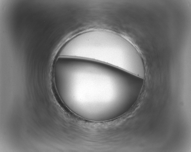 X0000069360007200605120928