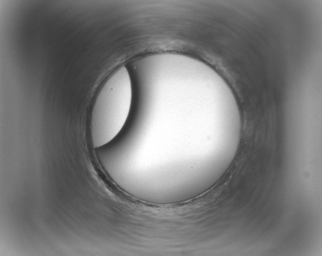 X0000069360010200605120928
