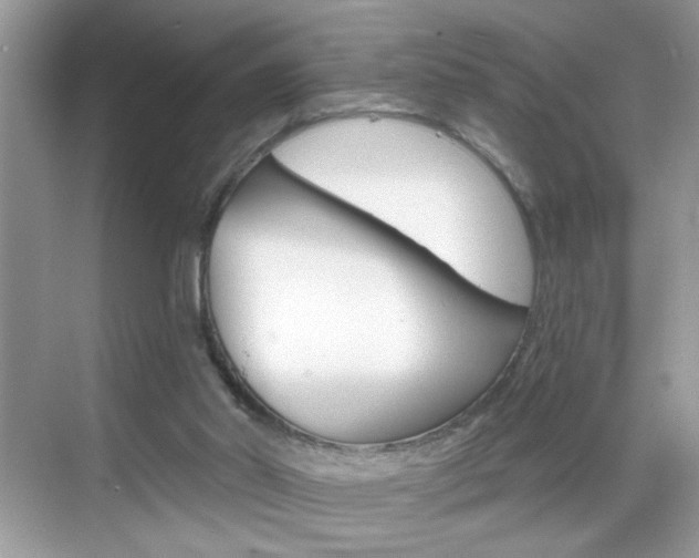 X0000069360014200605120928