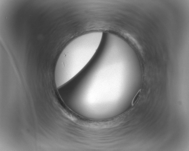 X0000069360017200605120928