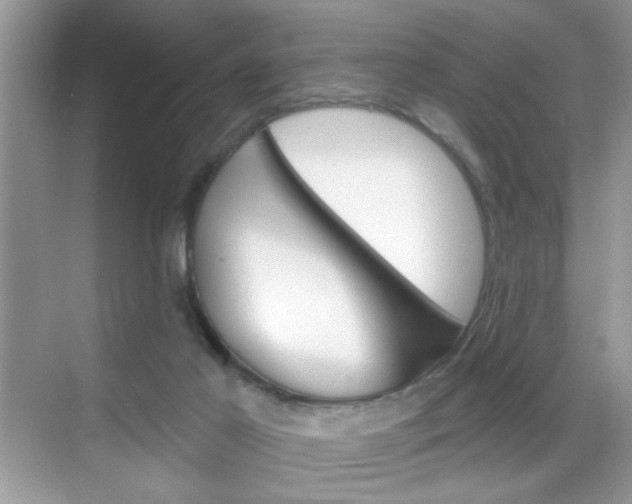 X0000069360021200605120928
