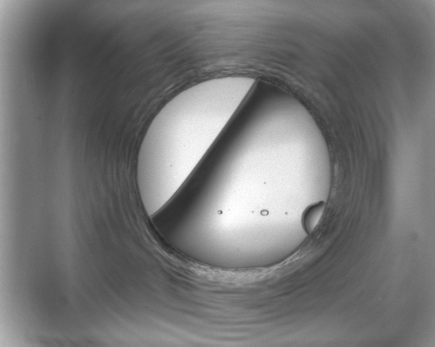 X0000069360048200605120927