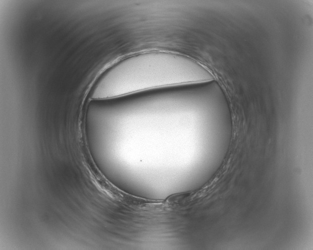 X0000069360050200605120927