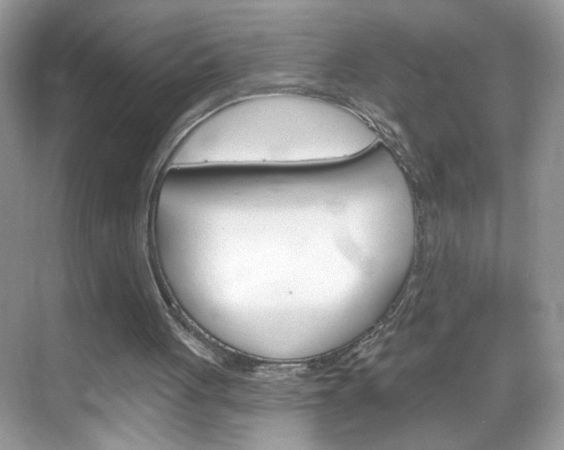 X0000069360051200605120927