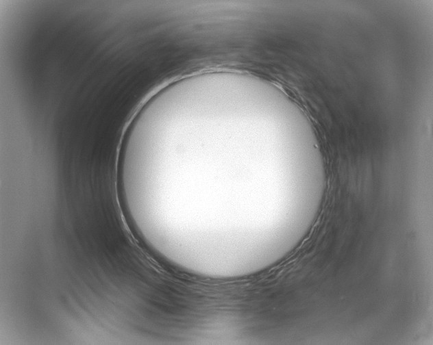 X0000069360052200605120927