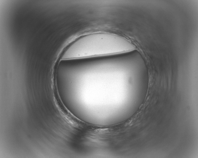 X0000069360054200605120927