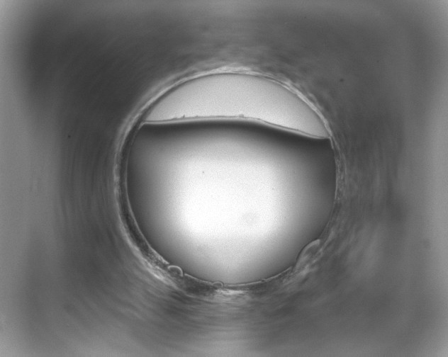 X0000069360055200605120927