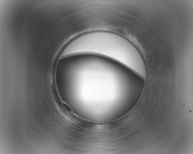 X0000069360060200605120927