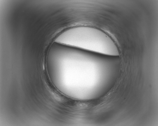 X0000069360062200605120927