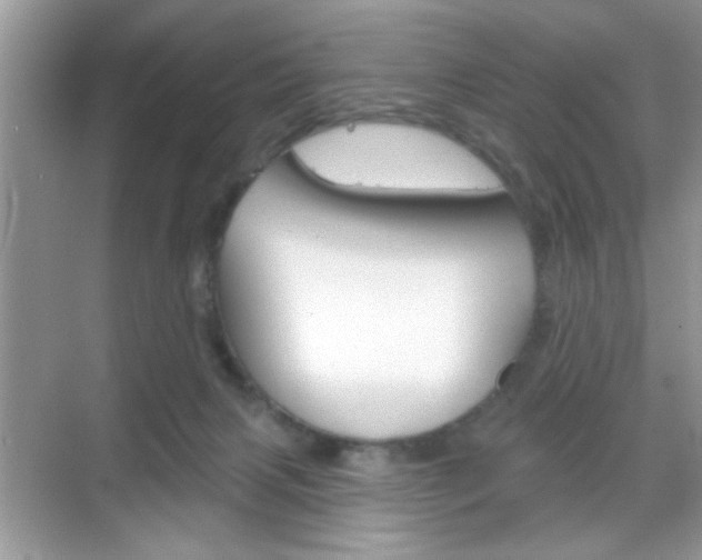 X0000069360079200605120927