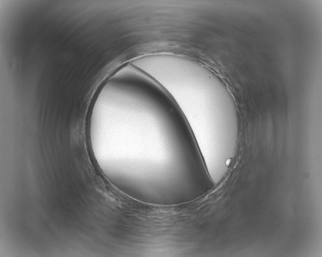 X0000069360099200605120927