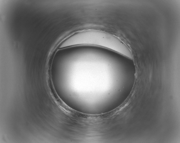 X0000069360101200605120927