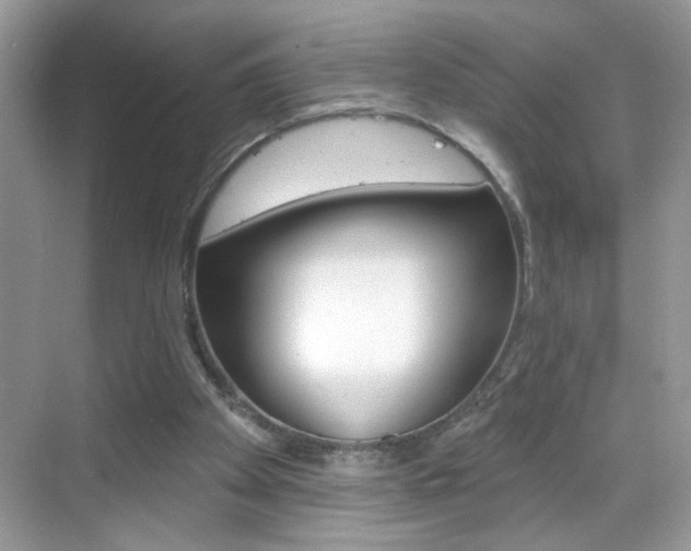 X0000069360105200605120926