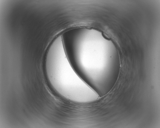 X0000069360107200605120926
