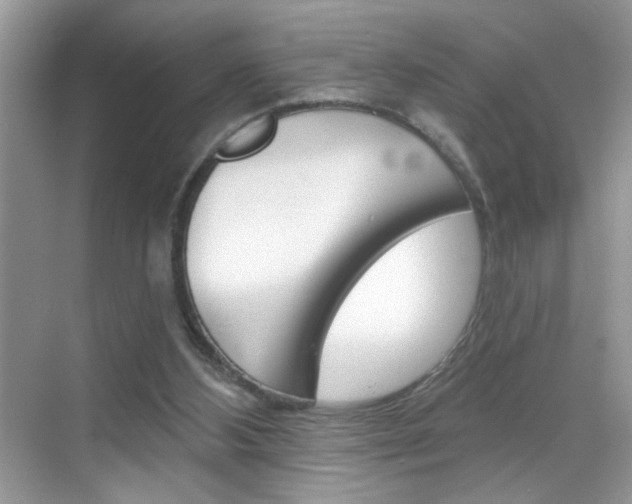 X0000069360108200605120926