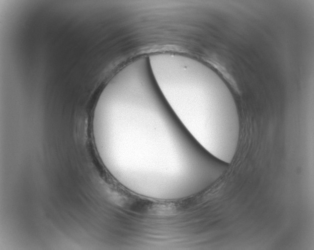 X0000069360110200605120926