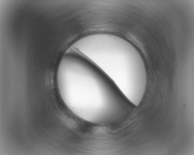 X0000069360115200605120926