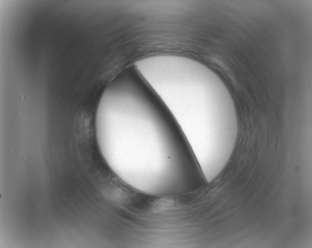 X0000069360123200605120926