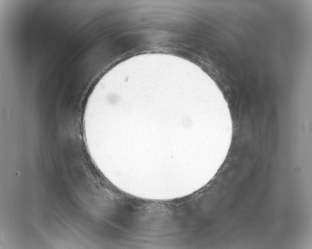 X0000069360146200605120925