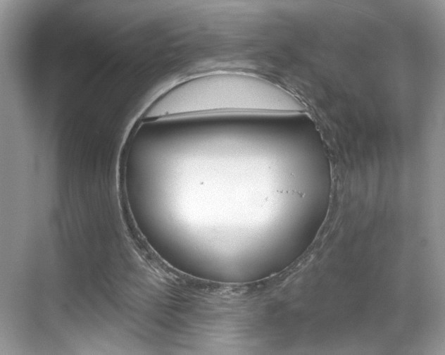 X0000069360148200605120925