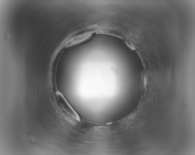X0000069360150200605120925